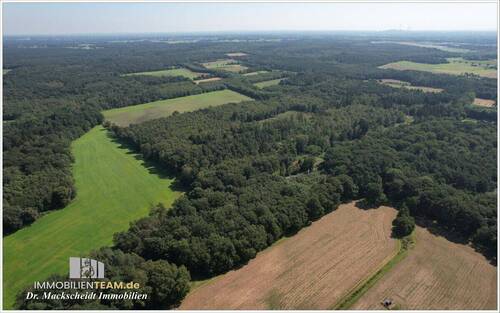 schule-im-wald-zu-verkaufen-Niederrhein-15 - 