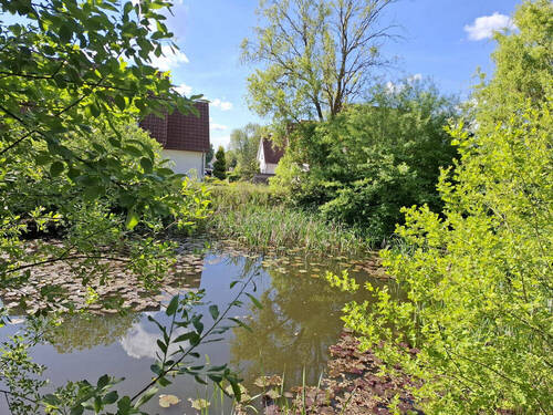 Bild14 - 