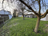 Bild7 - 