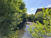 Bild9 - 