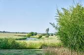 Fernblick - 