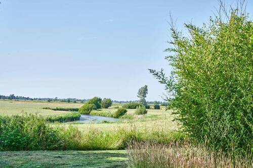 Fernblick - 