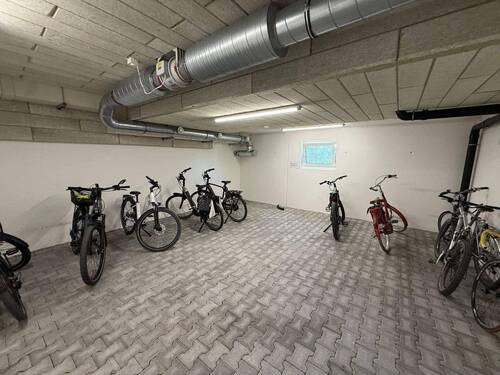 Der Fahrradkeller - 