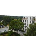 Feldbergblick - 