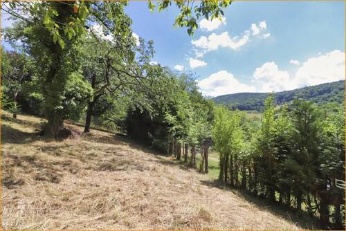 Blick nach Osten über das Sodental - Grundstück in Sulzbach am Main / Soden zum Kaufen