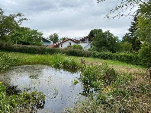 ...der Teich wird entwässert - 