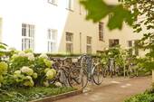 Innenhof - Drei Zimmer + große Wohnküche; auch gewerbliche Nutzung möglich