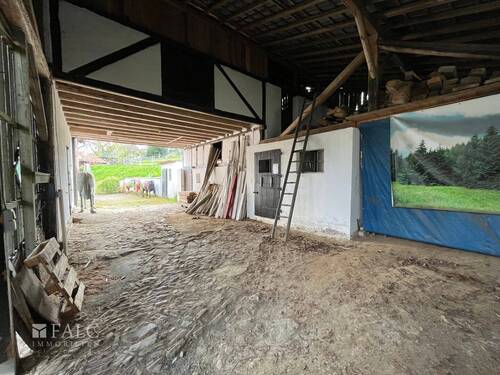 Hinterhof - 