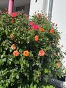 Bild 21 - 