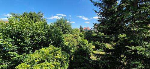 20260615_160303.jpg - 