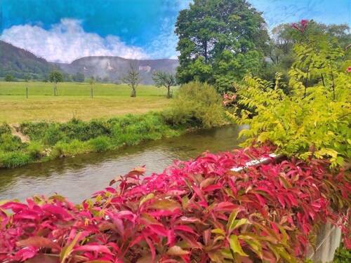 Ausblick auf die Donau - 