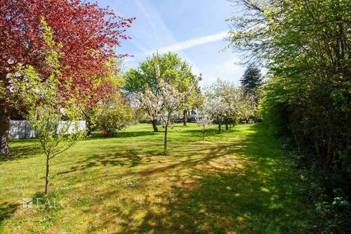 Garten - 