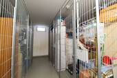 Keller (1) - 