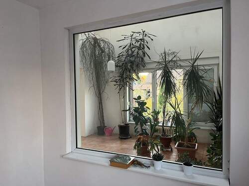 20251103_150509496_iOS.jpg - 