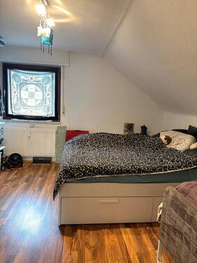 Zimmer DG - 