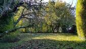 Bild 16 - 