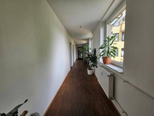 Bild 5 - 