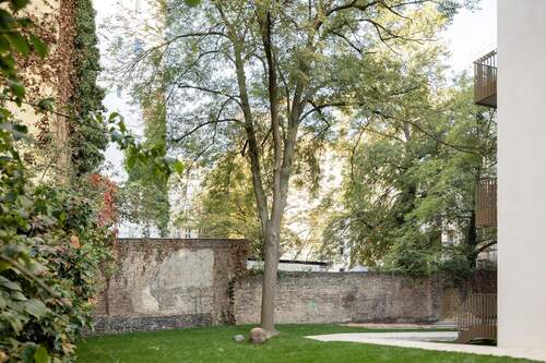 Gemeinschaftsgarten - 