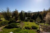Blick in den Garten - 