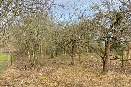 Ansicht 5 - 