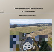 Einfamilienhaus mit Pferde- bzw. Tierhaltung und weiteren Nutzungsmöglichkeiten - Bellingen