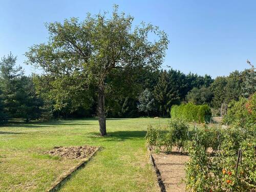 Bild 4 - Einfamilienhaus mit 260,00 m² in Weinböhla zum Kaufen