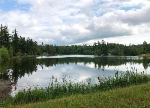See - 4 Zimmer Mehrfamilienhaus, Wohnhaus in Harzgerode