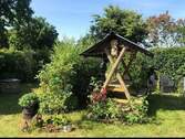 Wintergarten Sommer - 
