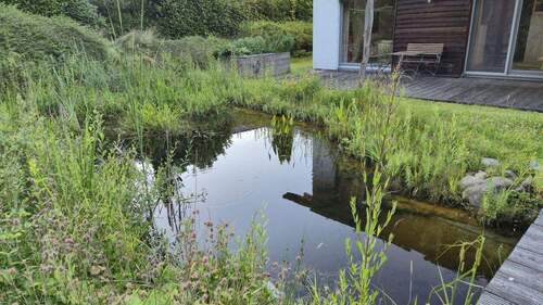 Naturteich - 