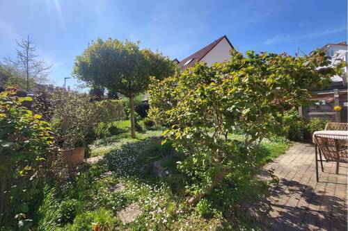 Blick in den Garten - 