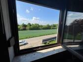 IMG_4997.jpeg - 