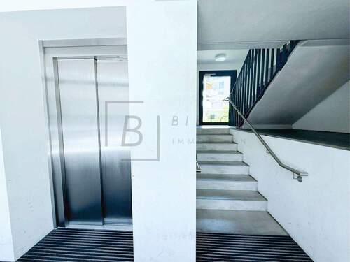 Treppenhaus-Personenaufzug - 