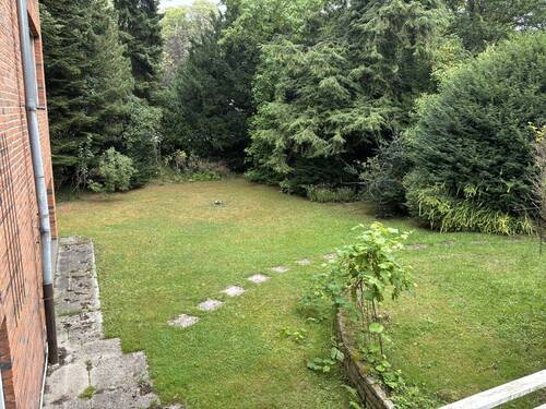 Blick in den Vorgarten - 