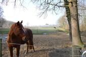 Bild 24 - 