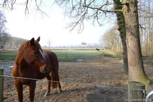 Bild 24 - 