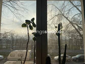 Bild 5 - 