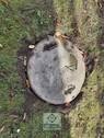 Bild 18 - 