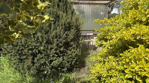 Garten - 