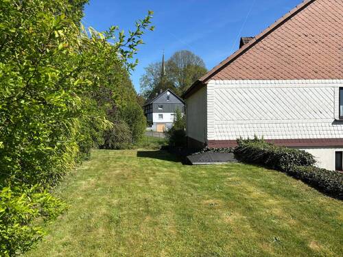 Wiese - 