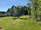 Wiese - 