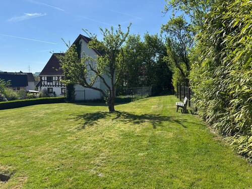 Wiese - 