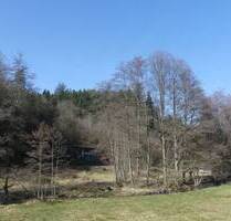 ***Direkt am Waldrand liegt dieses gemütliche Wohnhaus mit eigenem Wald und Wiesen in Mossautal-Hüttenthal***