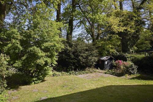 Hintergarten belaubt - 