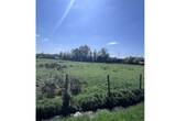 Ansicht 3 - 