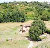 Lari ! Landhaus in Dorfnähe mit großer landwirtschaftlicher Fläche und Olivenhain I Immobilie Toskana