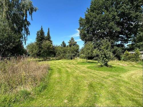 Garten im nördlichen Grundstück - 