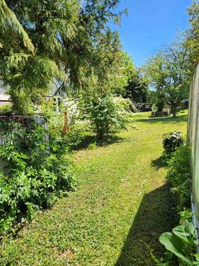 hinterer Garten des Hauses - 