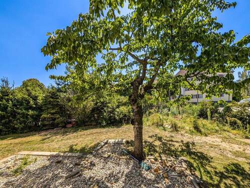 EG Blick aus dem Wohnzimmer - 