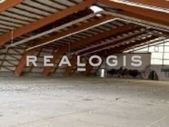 Innenansicht - Halle zum Kaufen in Bad Fallingbostel