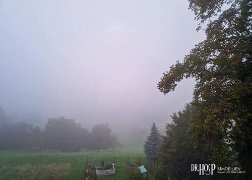 Blick im Nebel nach Nordost.jpg - Grundstück zum Kaufen in Wittnau